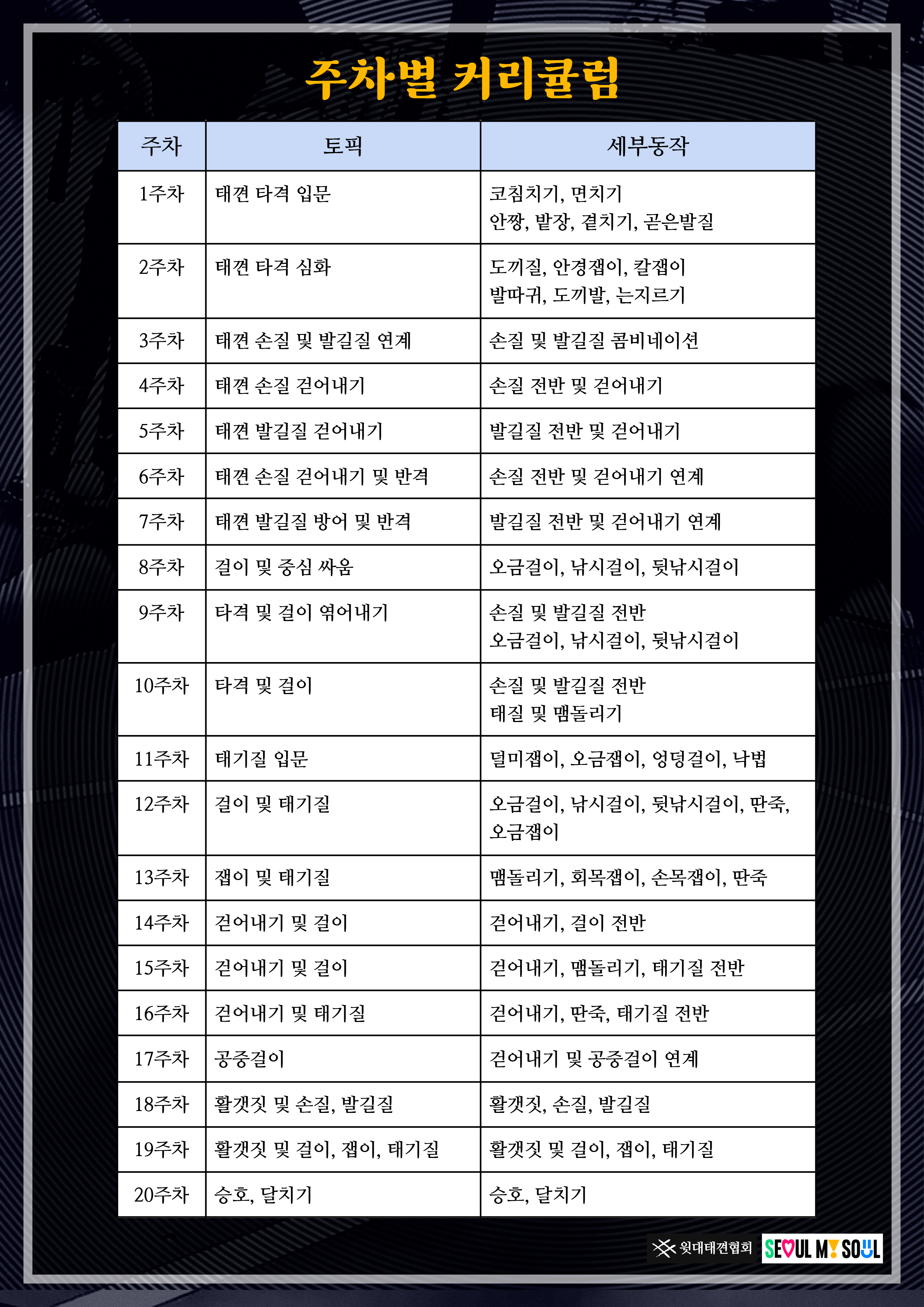 2025 윗대태껸 오픈 세미나 포스터_2(커리큘럼).png