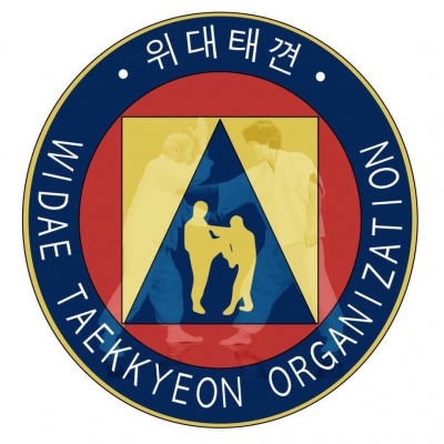 위대태껸